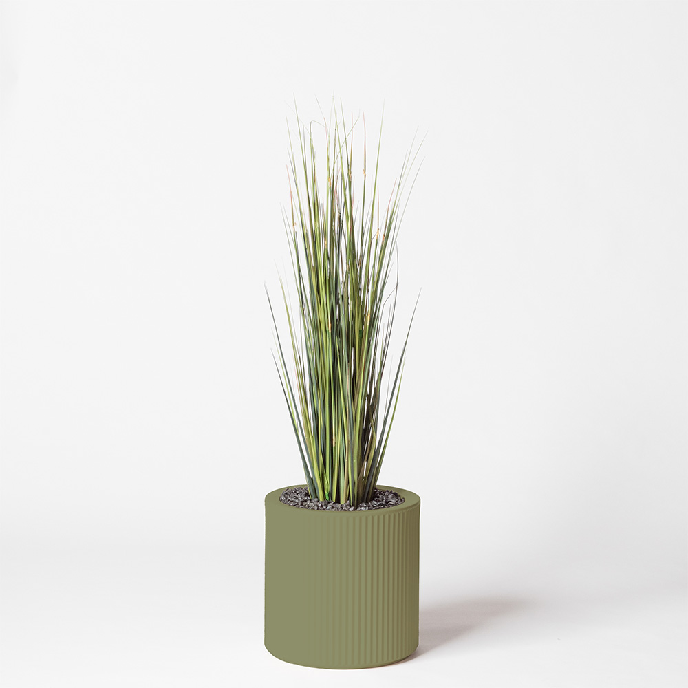 Onion grass - Jade