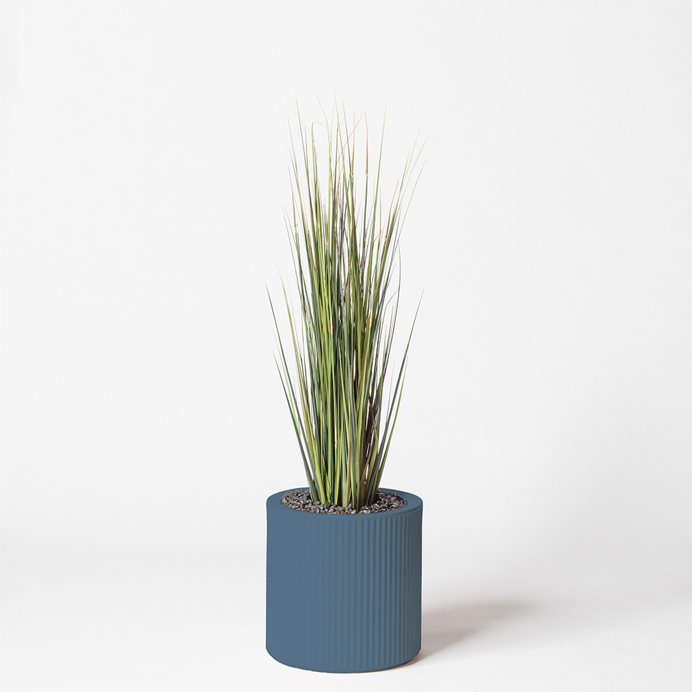 Onion grass - Océan