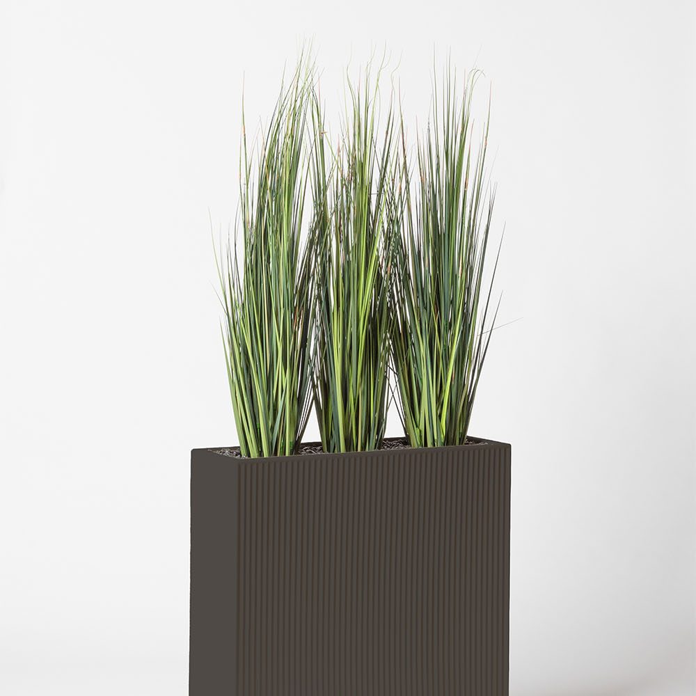 Onion grass bambou - Anthracite