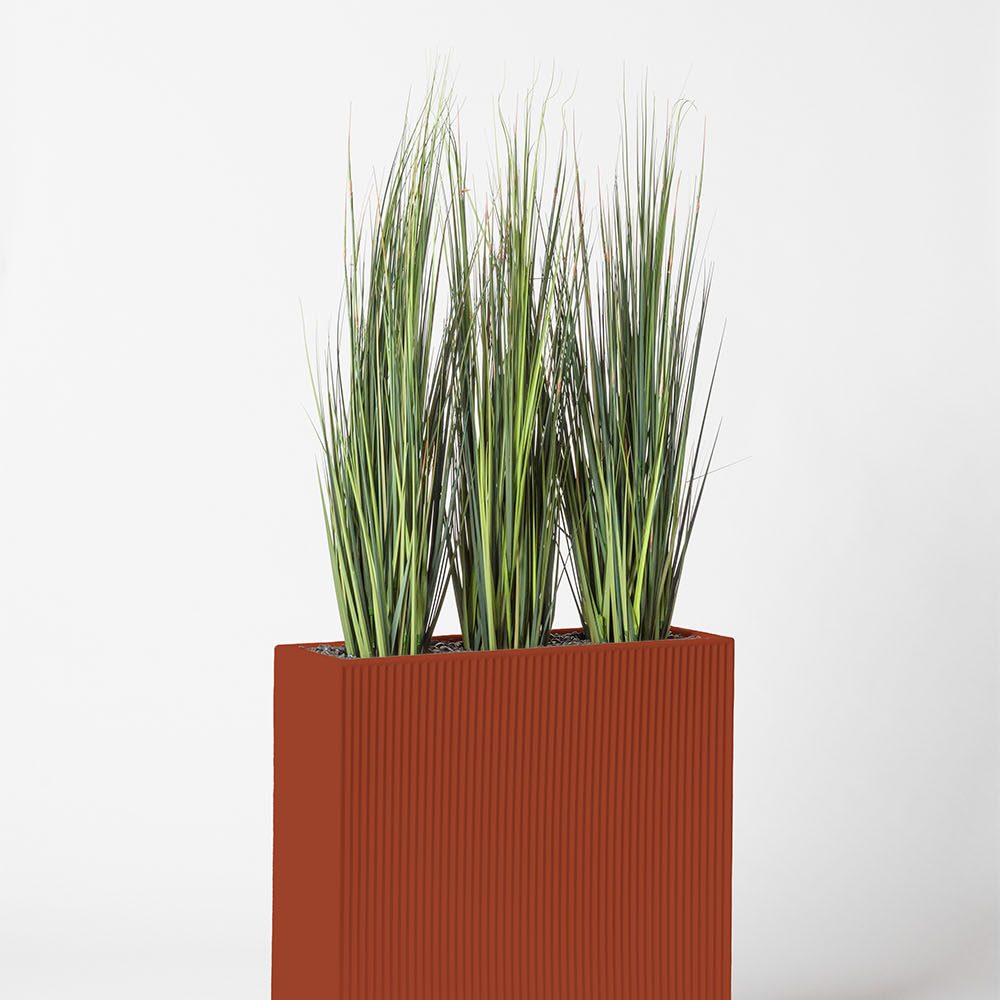 Onion grass bambou - Argile