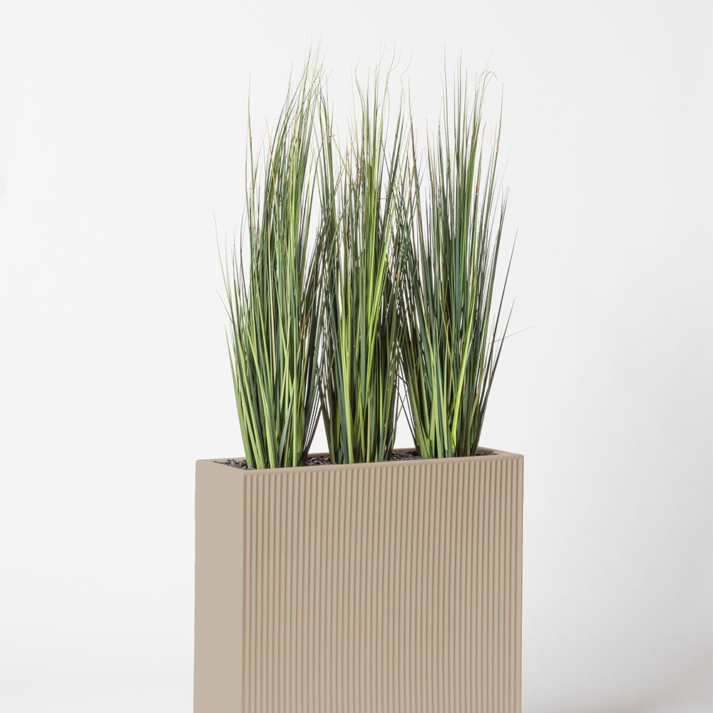 Onion grass bambou - Ecru