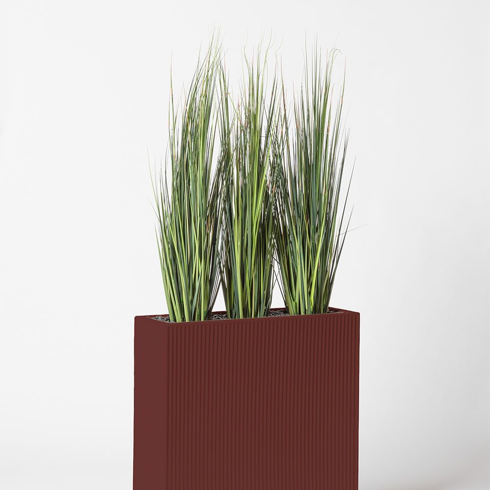 Onion grass bambou - Grenat