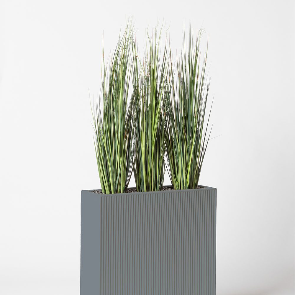 Onion grass bambou - Gris