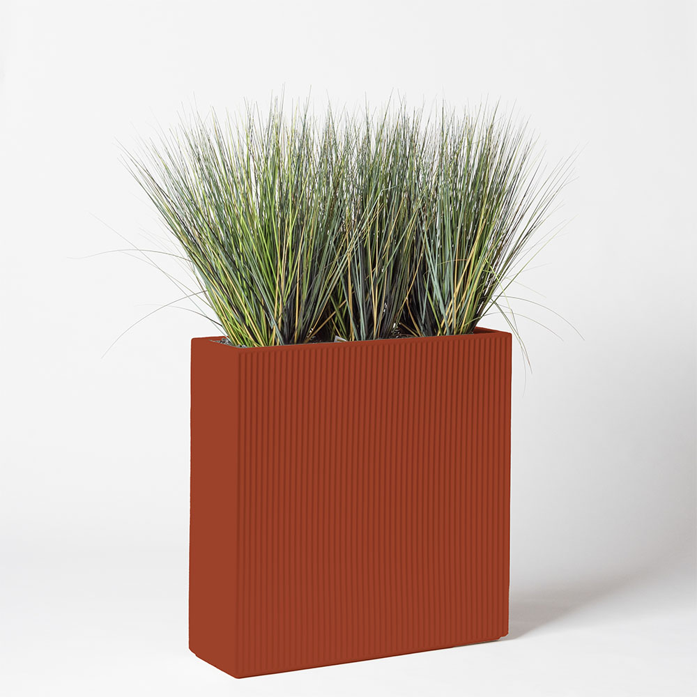 Onion grass new round - Argile