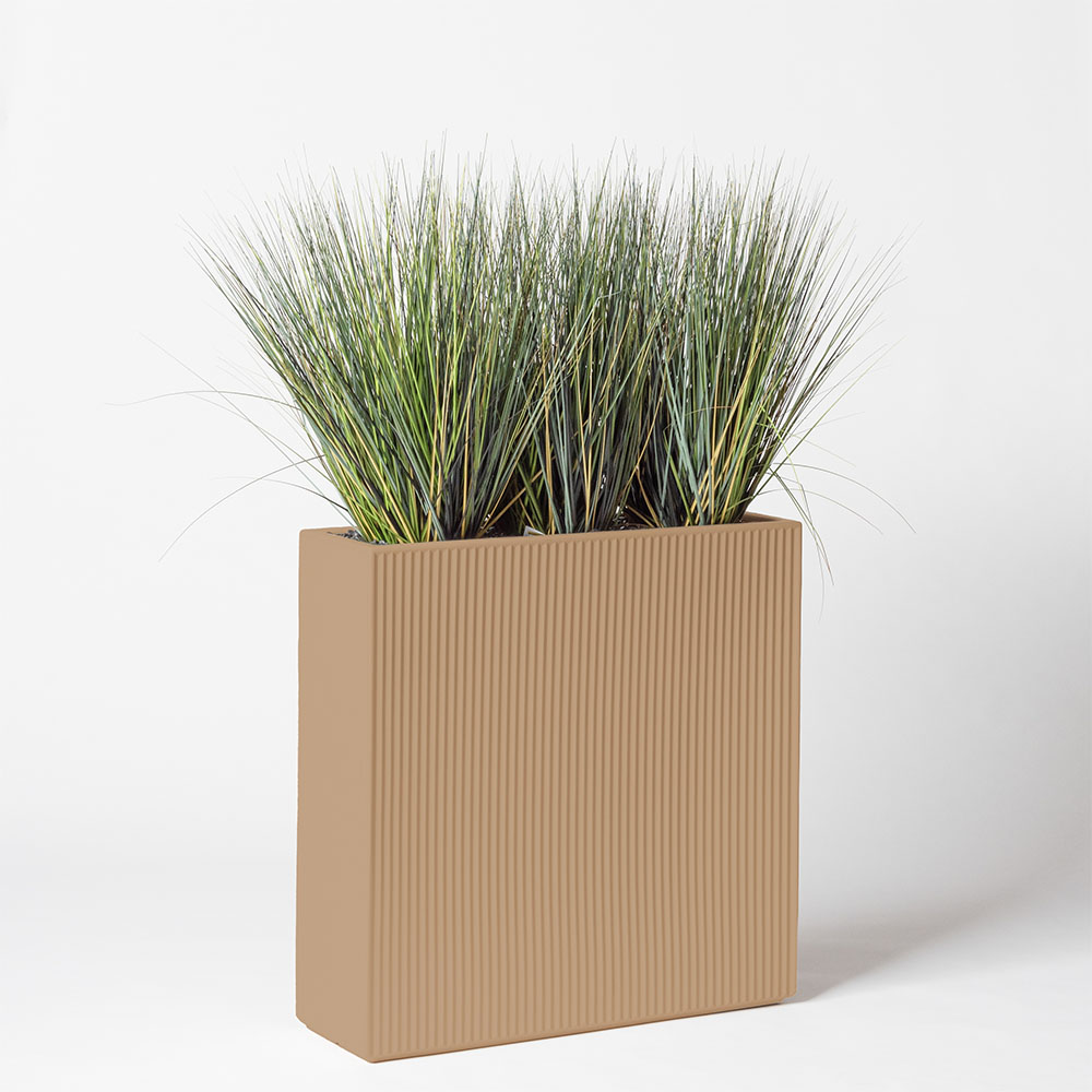 Onion grass new round - Camel