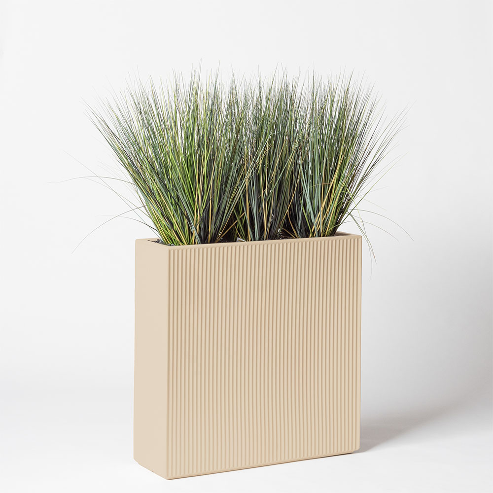 Onion grass new round