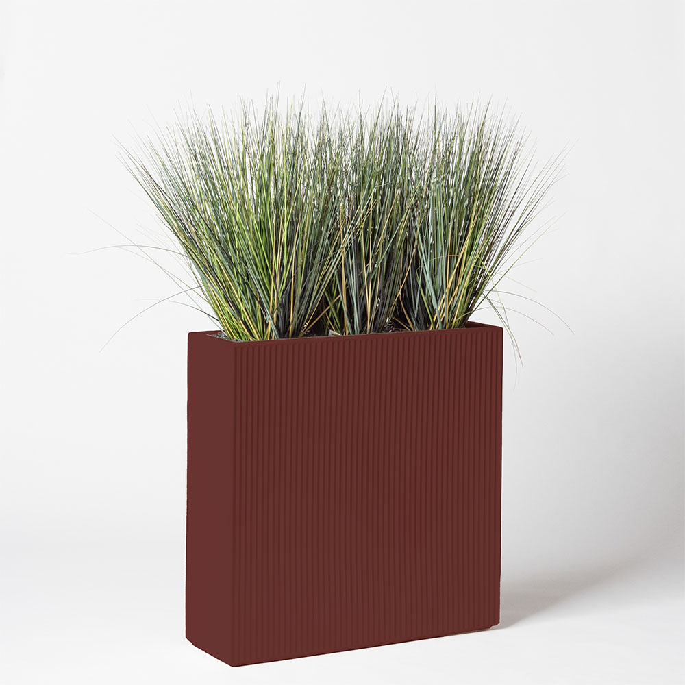Onion grass new round - Grenat