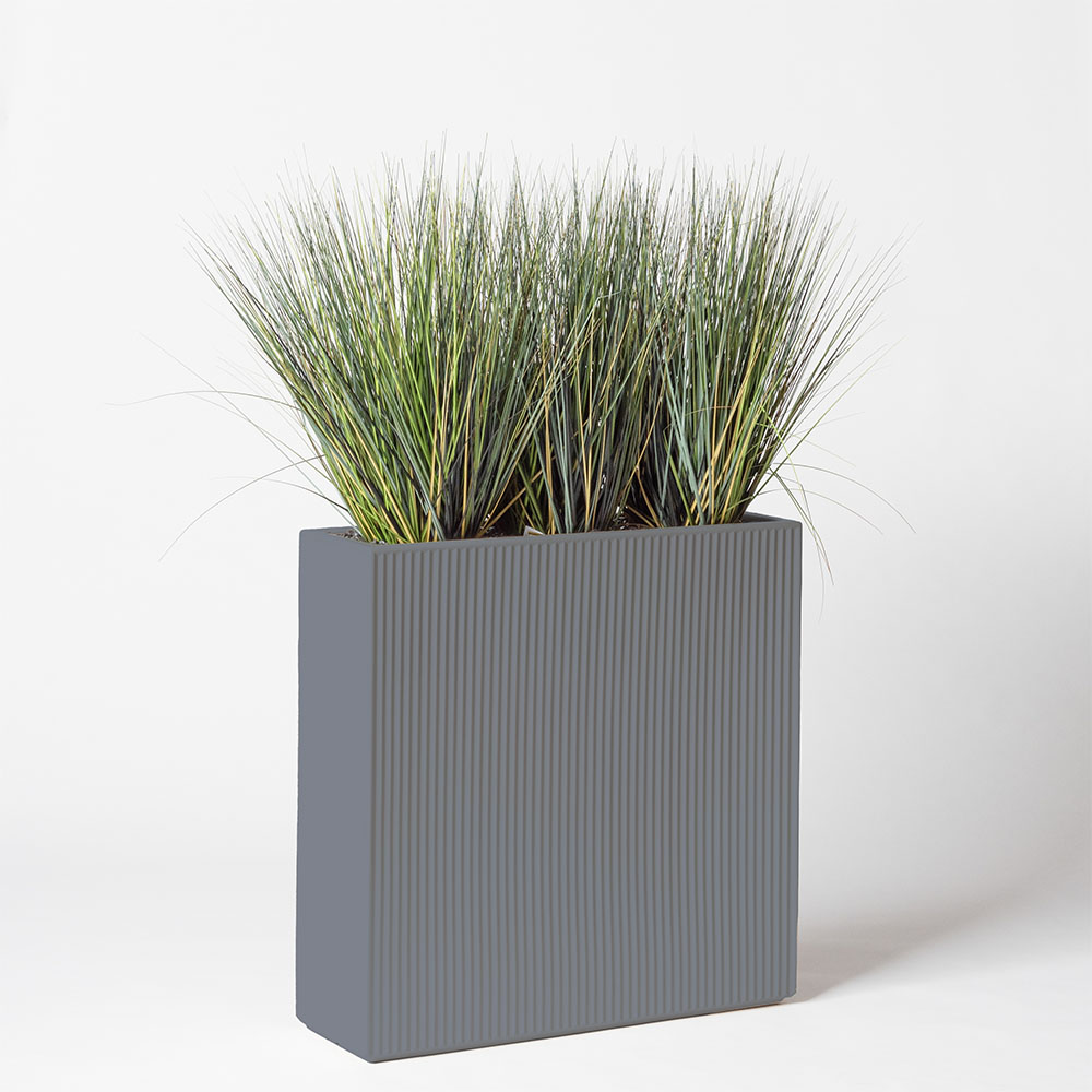 Onion grass new round - Gris