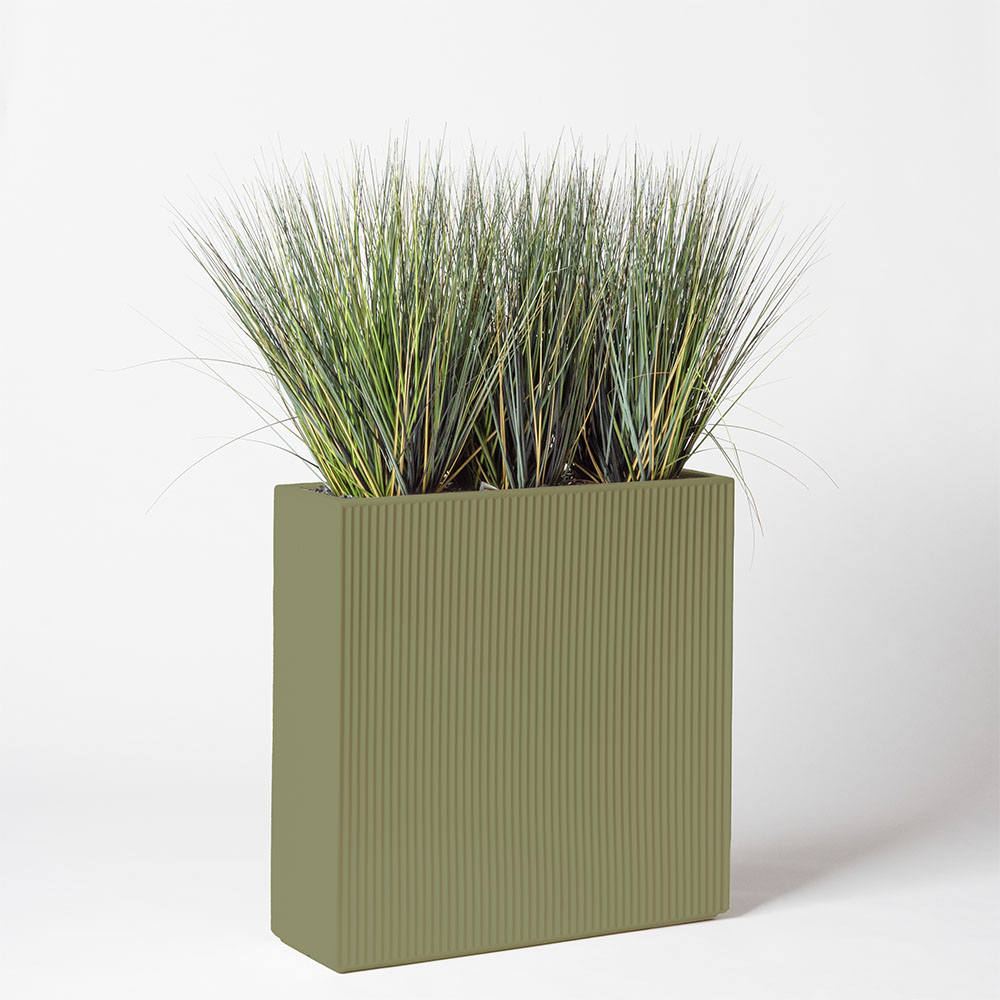 Onion grass new round - Jade
