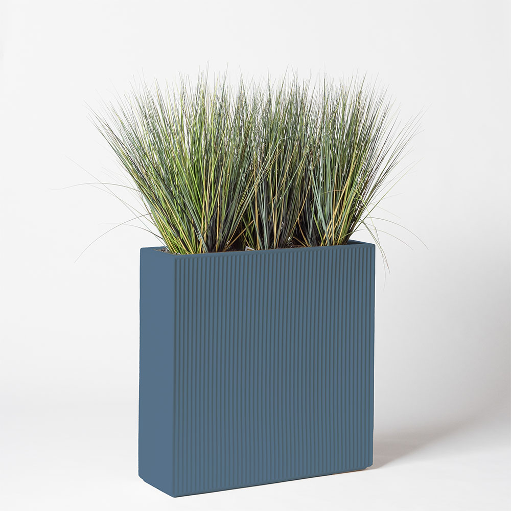 Onion grass new round - Océan