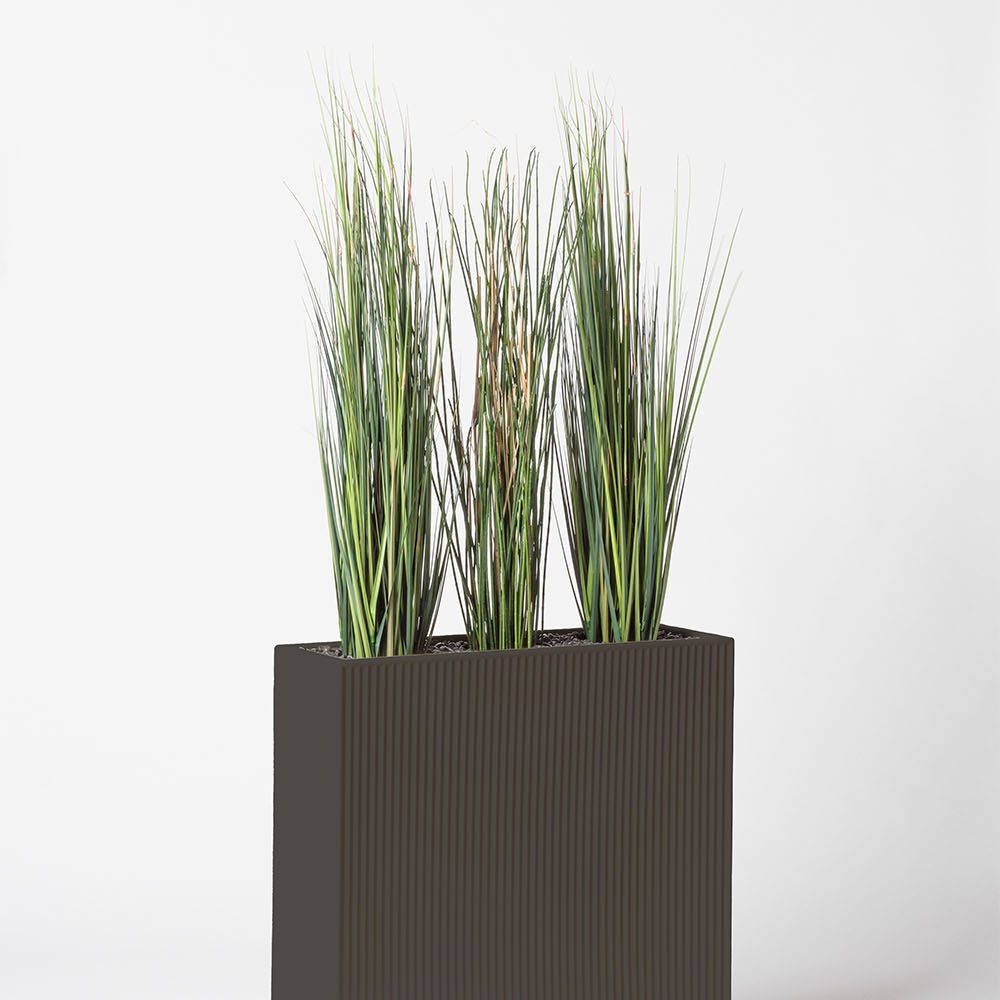 Presle grass - Anthracite