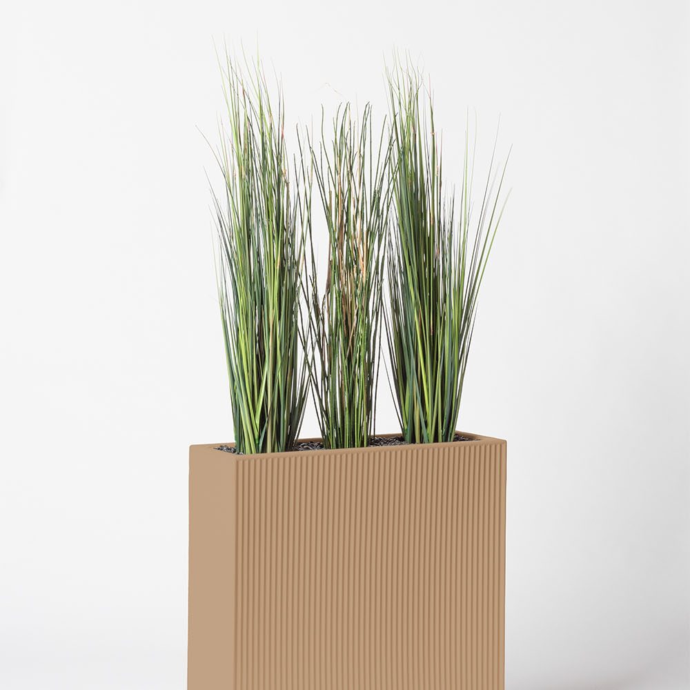 Presle grass - Camel