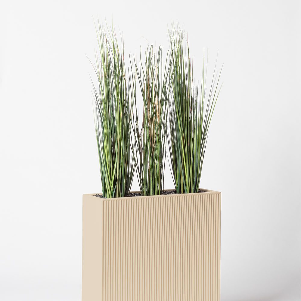 Presle grass