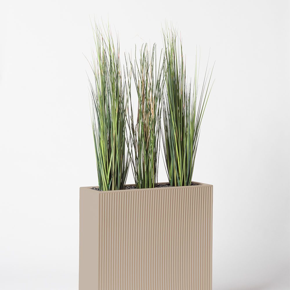 Presle grass - Ecru