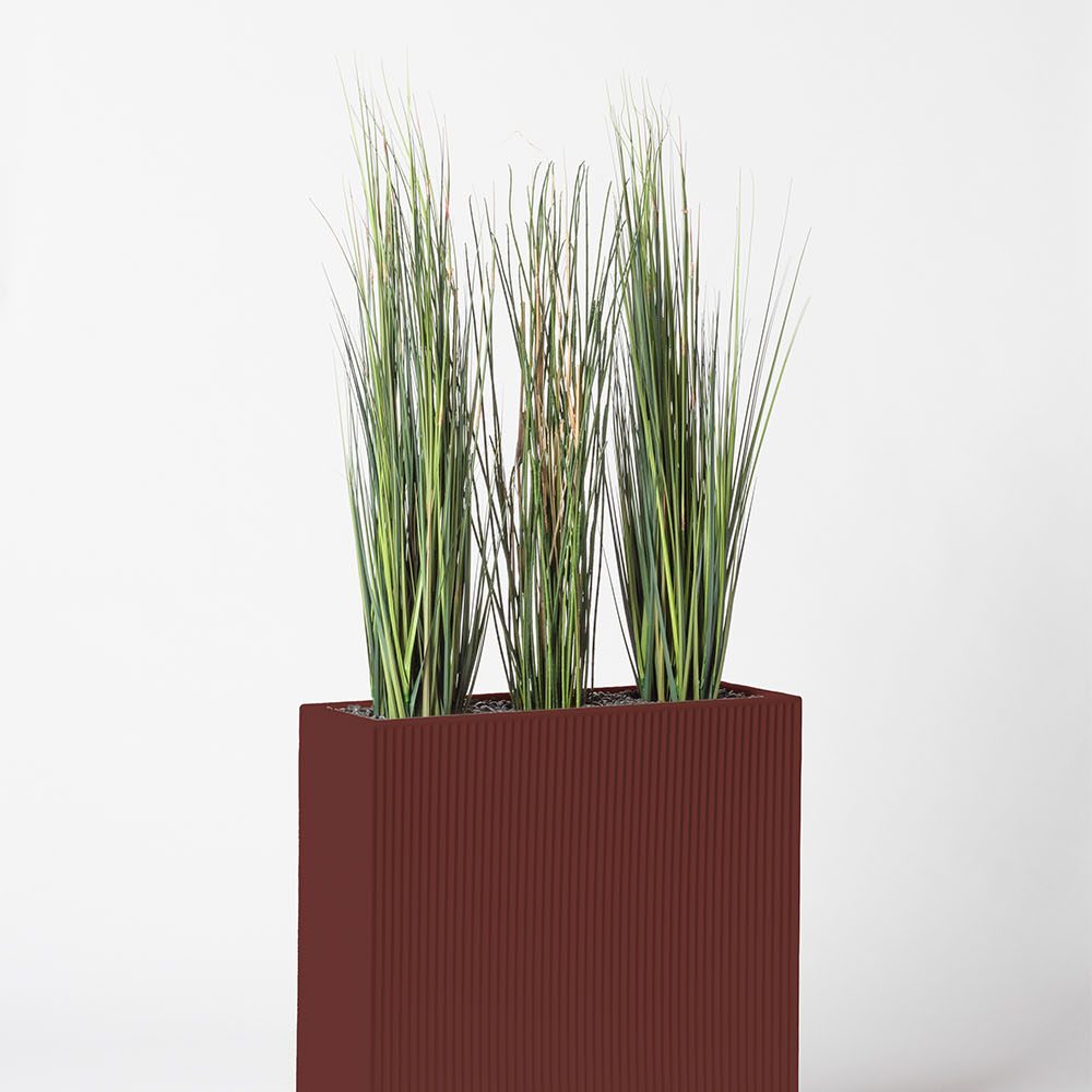 Presle grass - Grenat