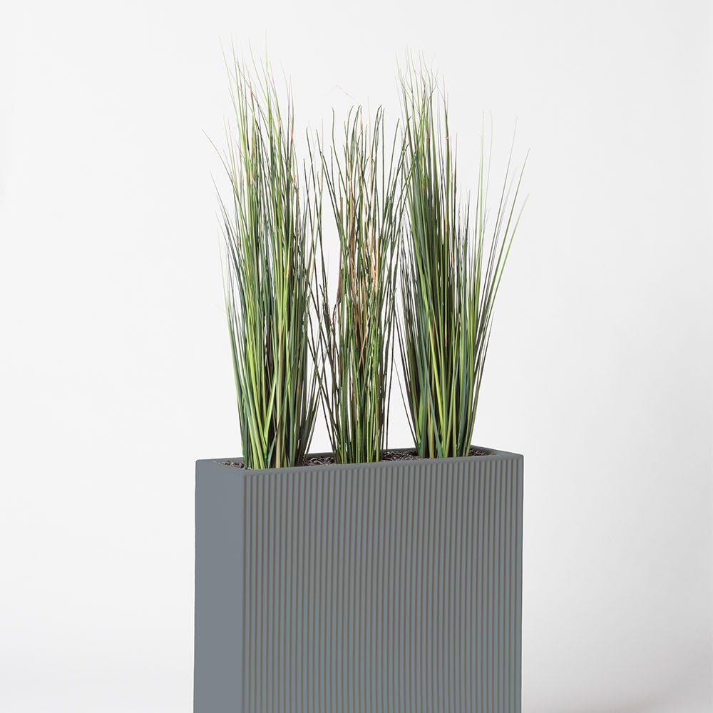 Presle grass - Gris