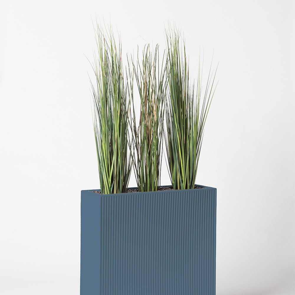 Presle grass - Océan